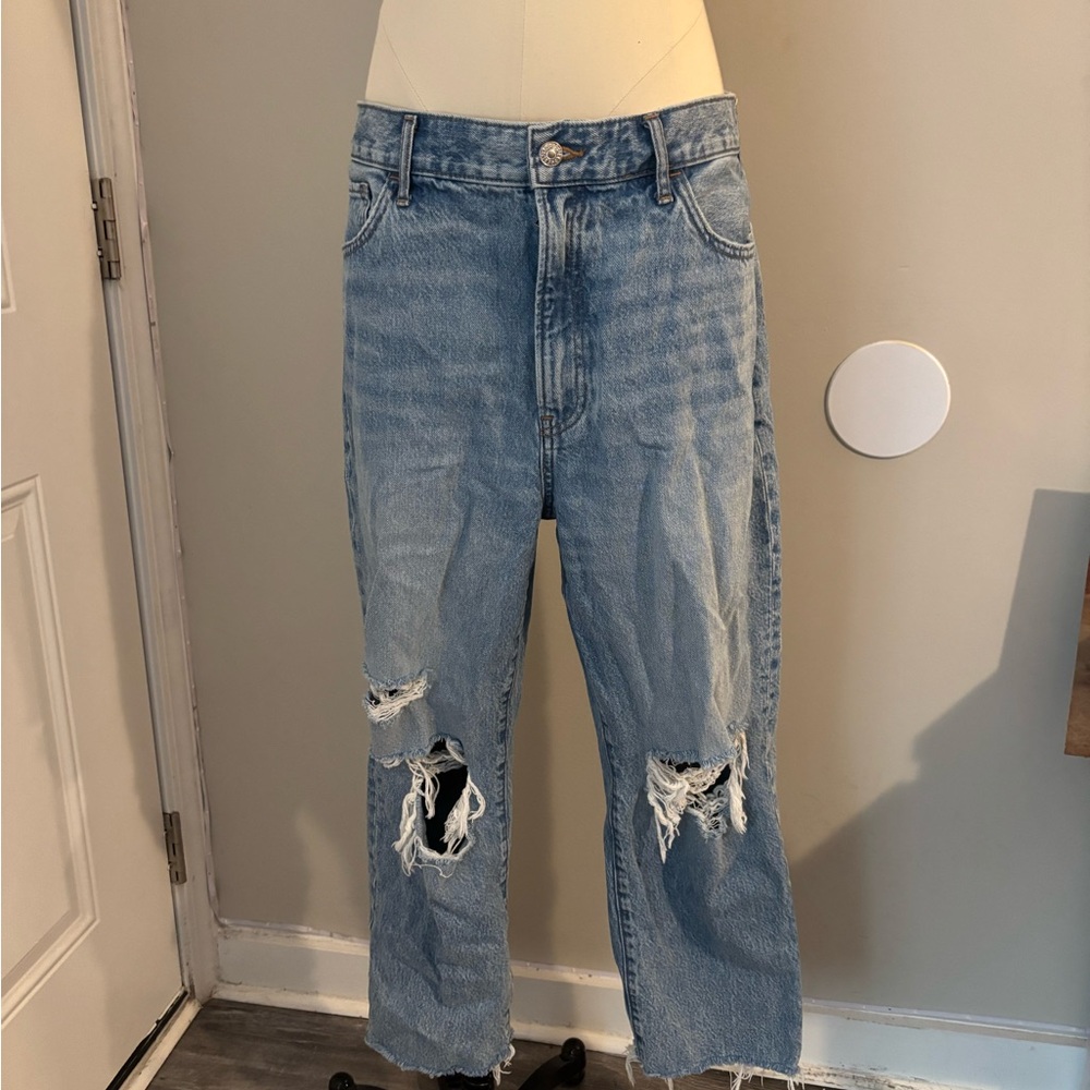 Express Distressed Mom Jeans